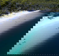 All-Inclusive Fraser Island Day Tour - Kempsey Accommodation