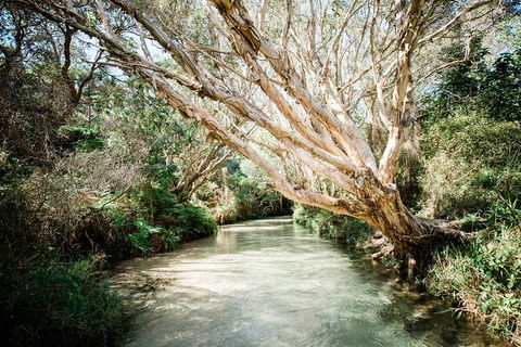 3-Day Fraser Island Resort Package - Kempsey Accommodation 5