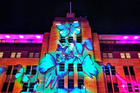 Vivid 90-Minute Sydney Harbour Small Group Catamaran Cruise - Kempsey Accommodation 0