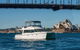 Vivid 90-Minute Sydney Harbour Small Group Catamaran Cruise - thumb 2