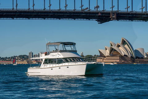 Vivid 90-Minute Sydney Harbour Small Group Catamaran Cruise - Kempsey Accommodation 2