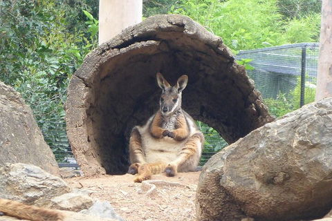 Featherdale Wildlife Park General Admission - Kempsey Accommodation 2