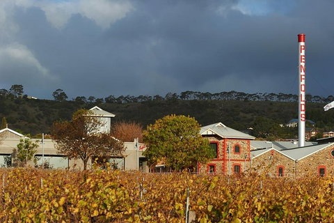Penfolds Magill Estate Iconic Experience - Kempsey Accommodation 3