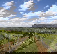 Hunter Valley Wine Tour from Sydney incl Lunch Cheese Chocolate and Distillery - Kempsey Accommodation
