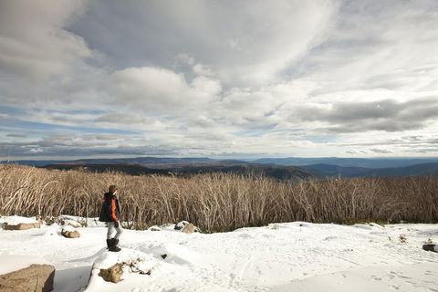 Lake Mountain Snow Trip Including Yarra Valley Chocolaterie From Melbourne - Kempsey Accommodation 5