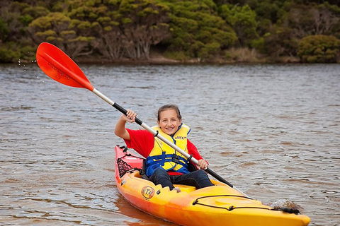 Kangaroo Island Self-Guided Kayaking On The Harriet River - Kempsey Accommodation 1