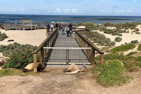 Kangaroo Island 4WD Tour - Best Of KI - Kempsey Accommodation 2
