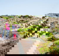Margaret River Coastal and Wildlife Eco Trip from Busselton or Dunsborough - Kempsey Accommodation